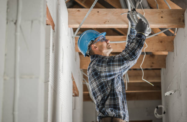 Best Electric Panel Repair  in Swifton, AR